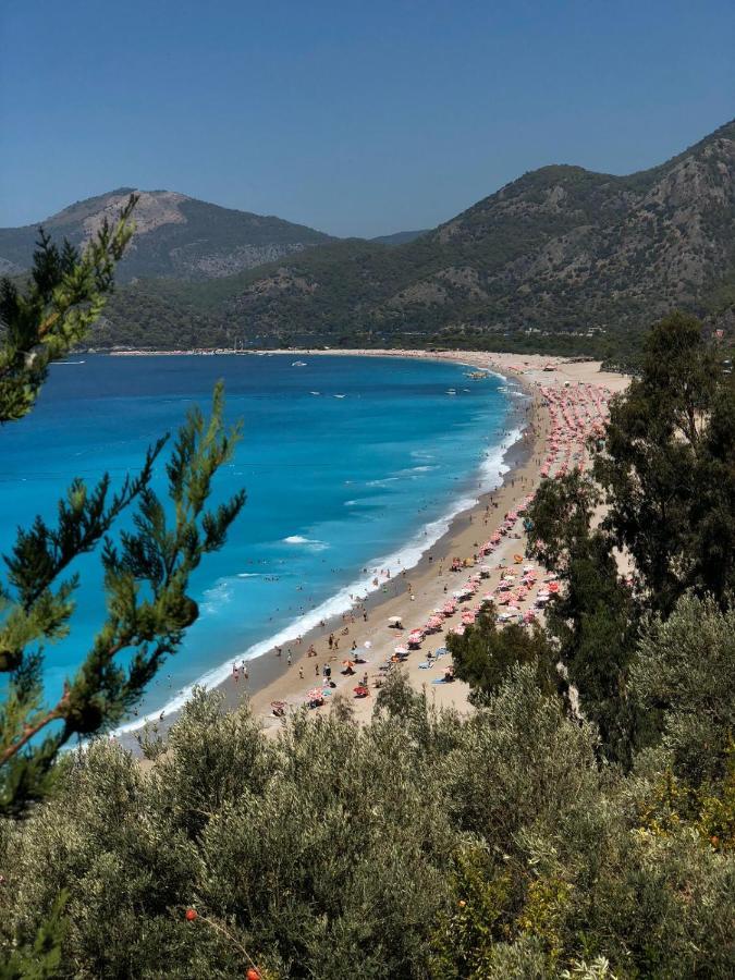 Mimoza Hotel Oludeniz Exteriér fotografie